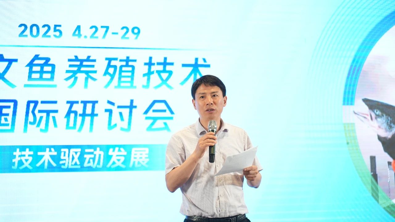 1754445140287065.jpg 4.jpg