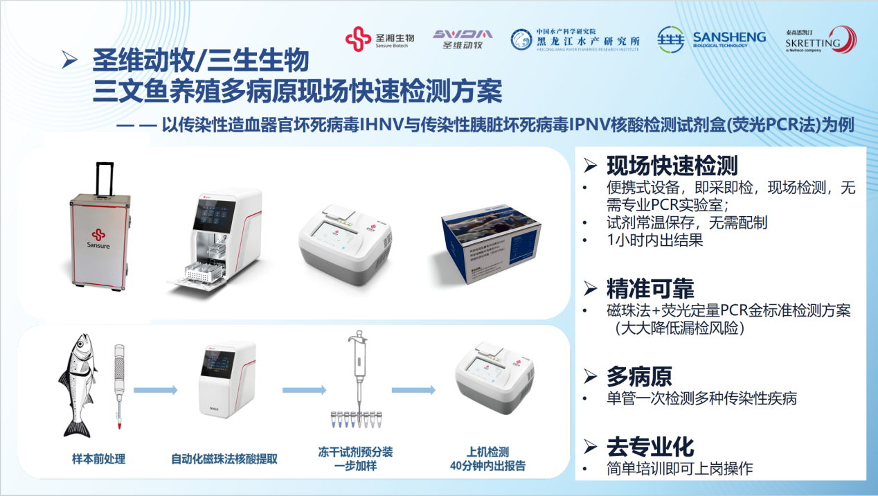 1754445251134698.png 13.png