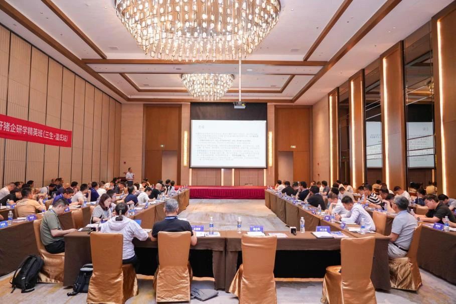 1754445799827931.jpg 15.jpg