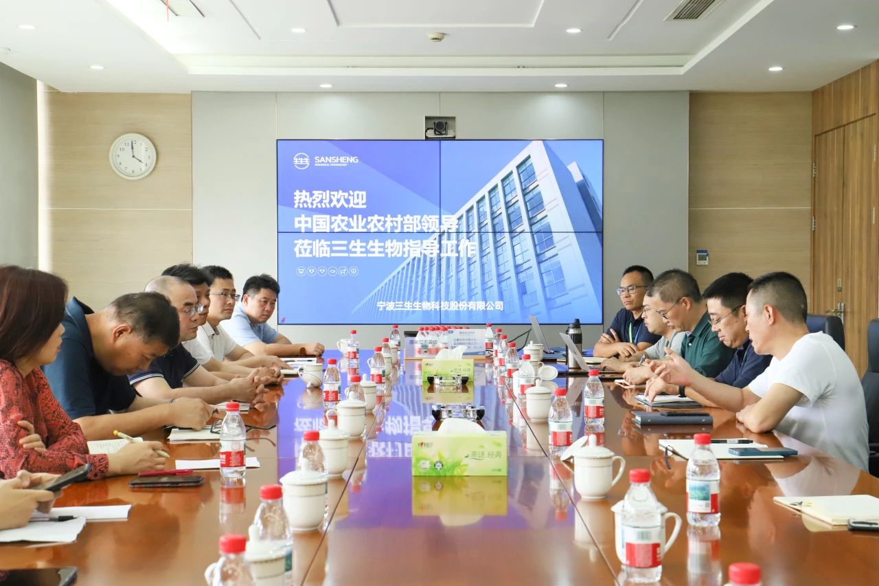 1754447031383929.jpg 3.jpg