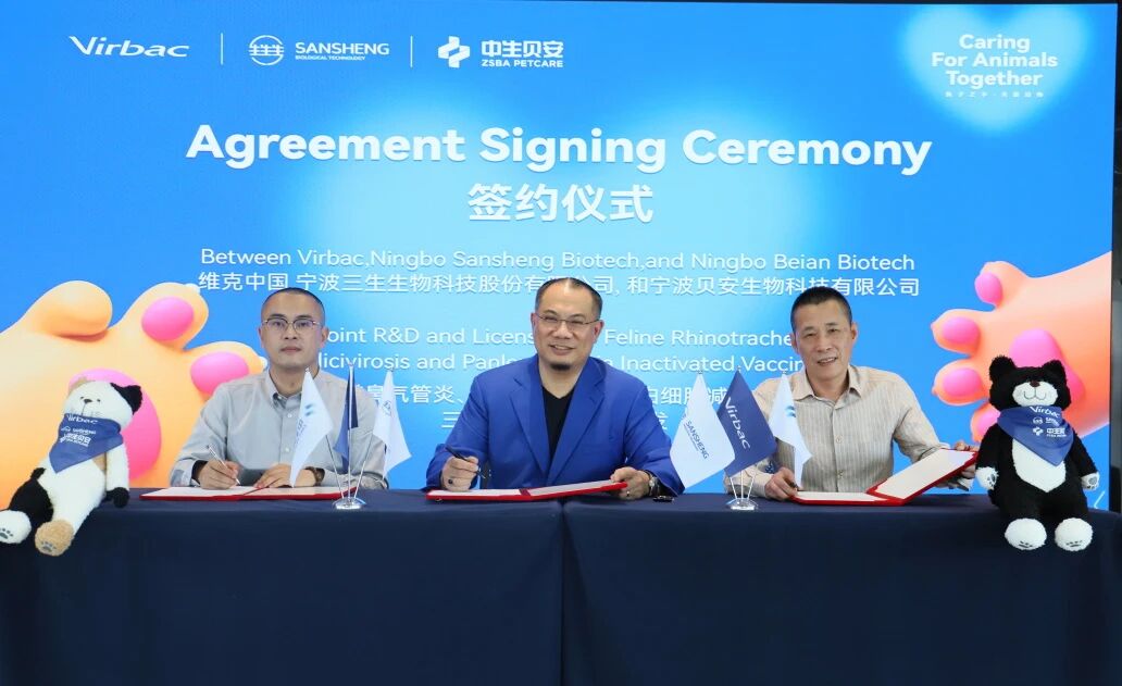 1758177661108749.jpg 1.jpg